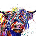Yak