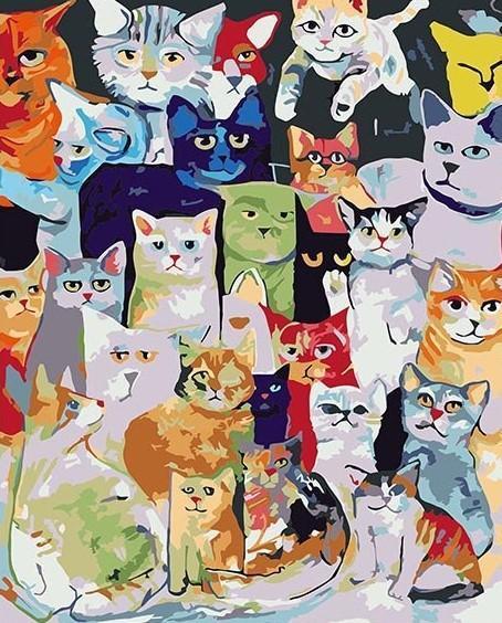 Animal Cat Paint By Numbers Canvas Wall Set PBNCATN3