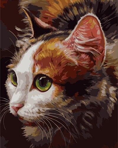 Animal Cat Paint By Numbers Canvas Wall Set PBNCATN8
