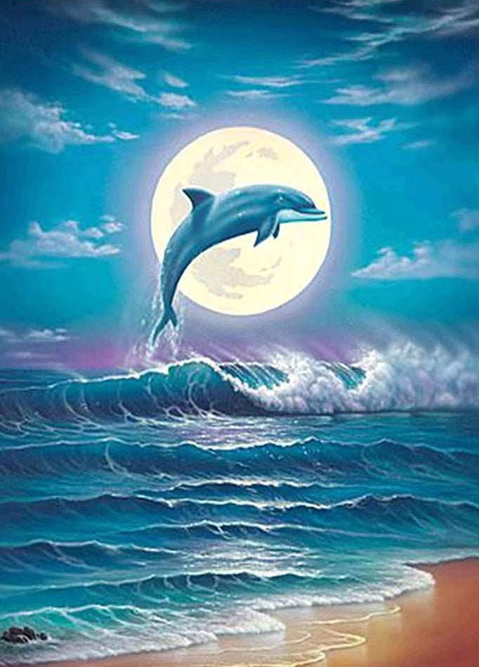 Zeedier Dolfijnen Schilderen op Nummers PBNDOL004