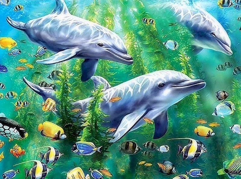 Zeedier Dolfijnen Schilderen op Nummers PBNDOW009