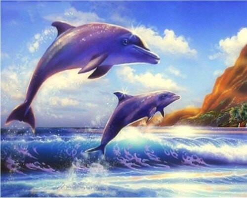 Zeedier Dolfijnen Schilderen op Nummers PBNDOW021