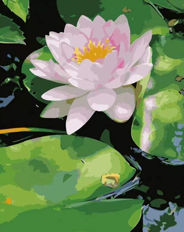 Plant Lotus Bloem Schilderen op Nummers PBNFLOL426
