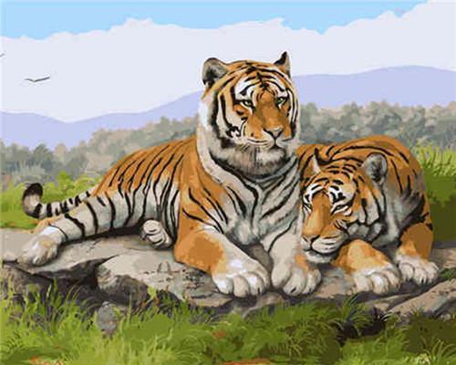 Animal Tiger Paint By Numbers Canvas Wall Set PBNTIGW18