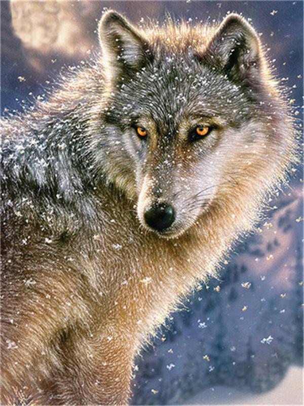 Animal Wolf Paint By Numbers Canvas Wall Set PBNWOLFL14