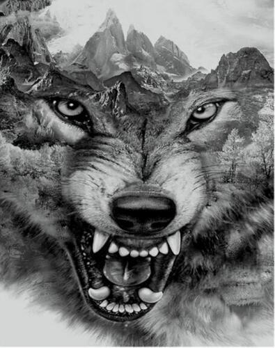 Animal Wolf Paint By Numbers Canvas Wall Set PBNWOLFL58