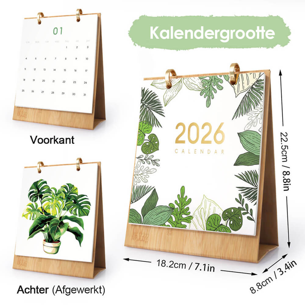 2026 Bureaukalender Schilderen op Nummers | Groene Potplant