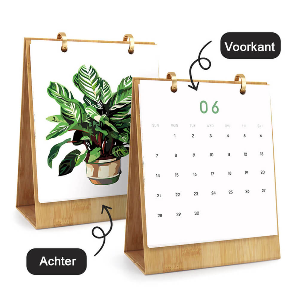 2026 Bureaukalender Schilderen op Nummers | Groene Potplant
