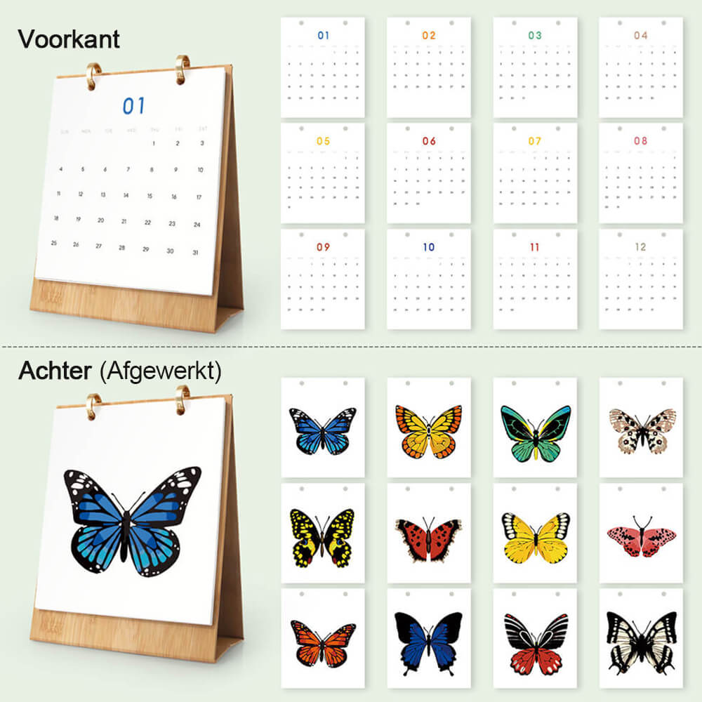2026 Bureaukalender Schilderen op Nummers | Kleurrijke Vlinderspecimens