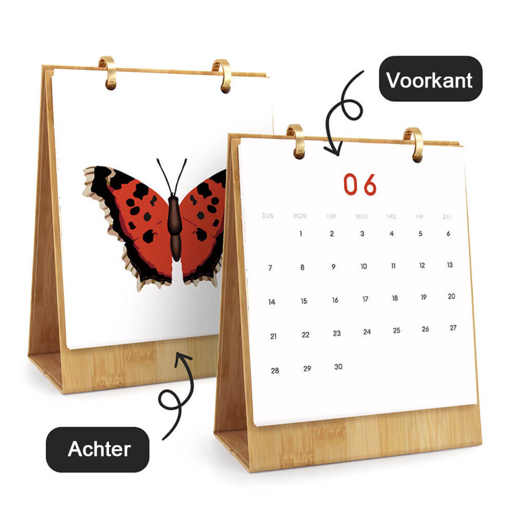 2026 Bureaukalender Schilderen op Nummers | Kleurrijke Vlinderspecimens
