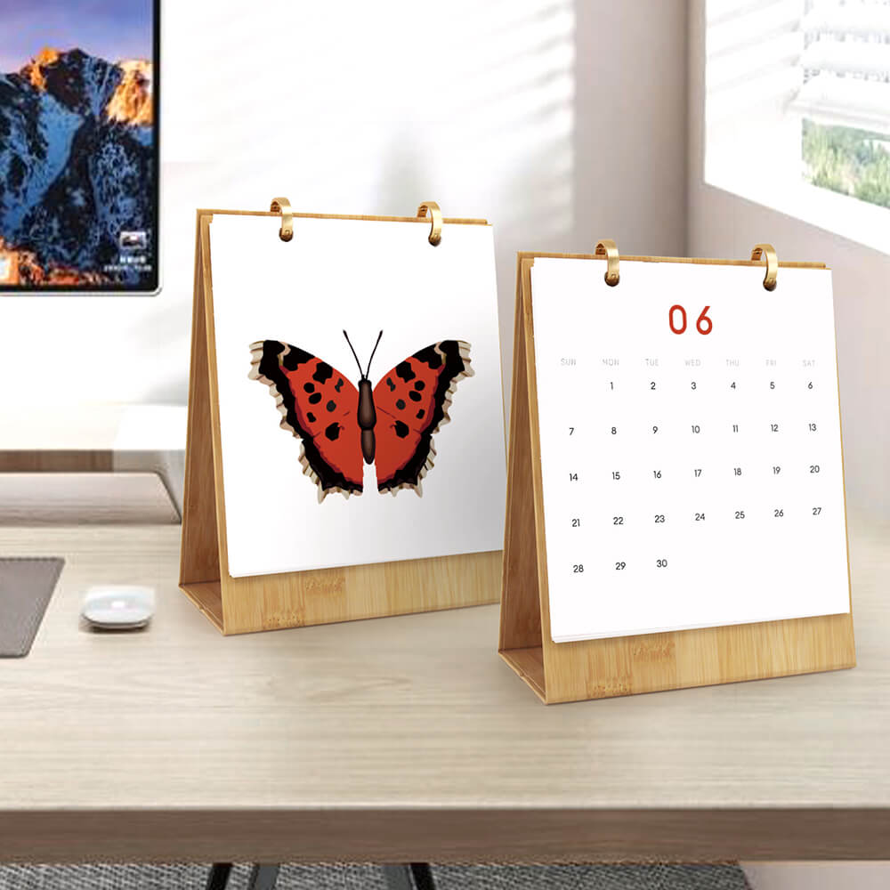 2026 Bureaukalender Schilderen op Nummers | Kleurrijke Vlinderspecimens