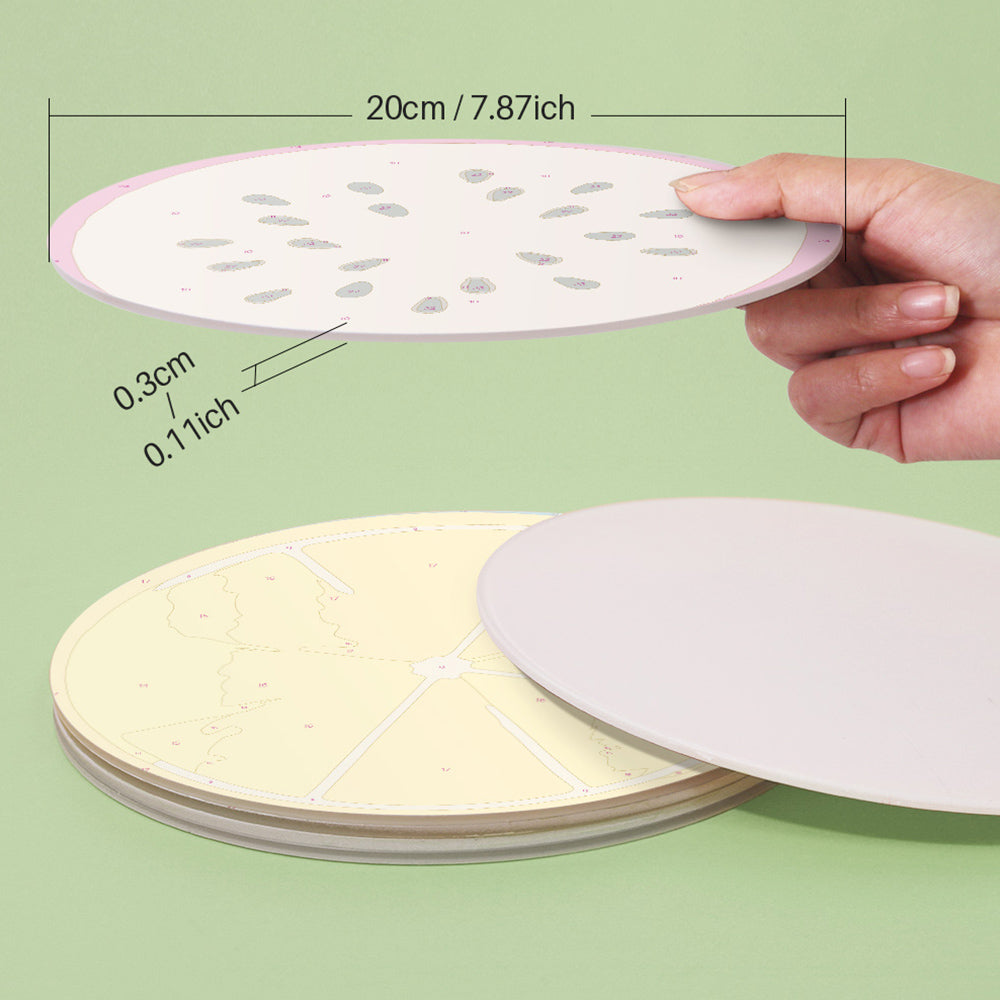 6 Stuks Diverse Vruchten Placemats Schilderen op Nummers