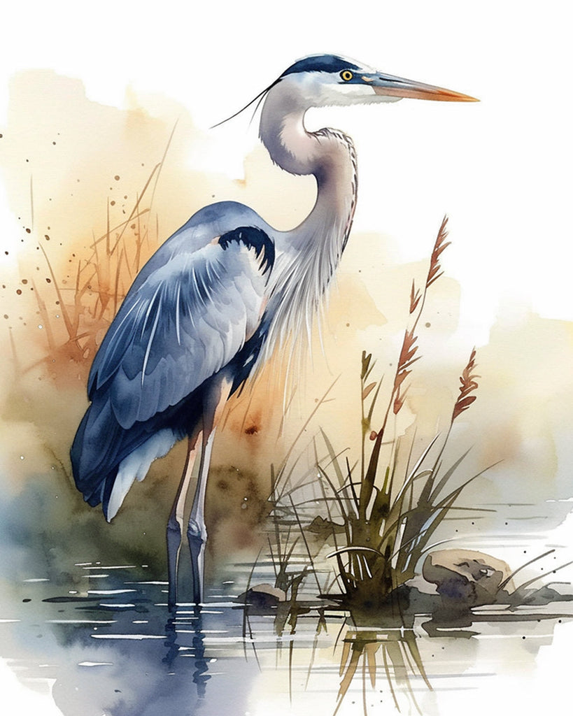 Aquarel Reiger Schilderen op Nummers