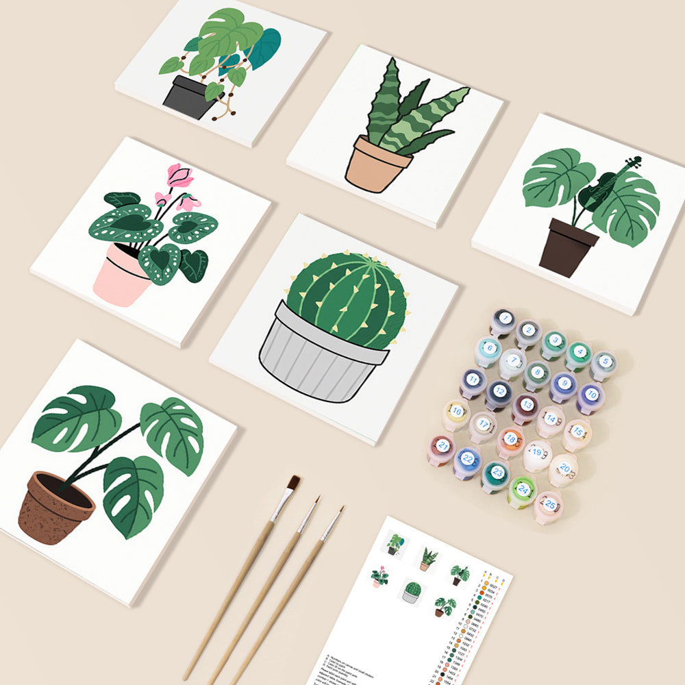 Cactus en Groene Kamerplanten 6 Stuks Mini Schilderen op Nummers