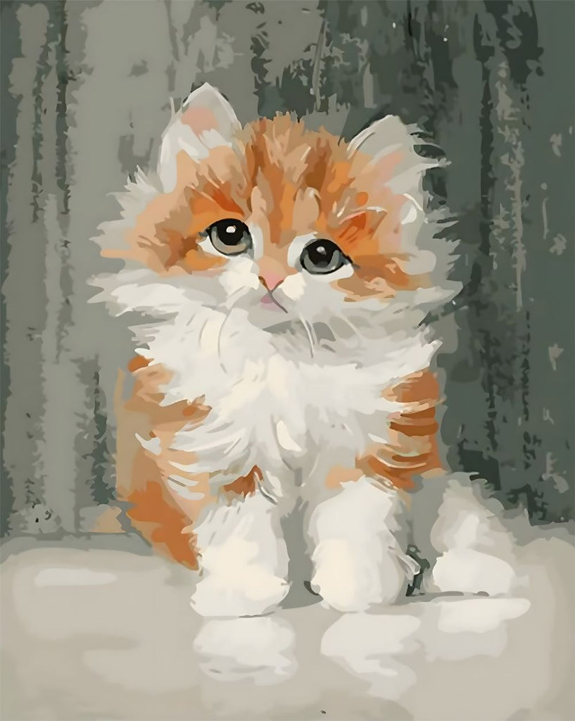 Dier Schattig Katje Schilderen op Nummers