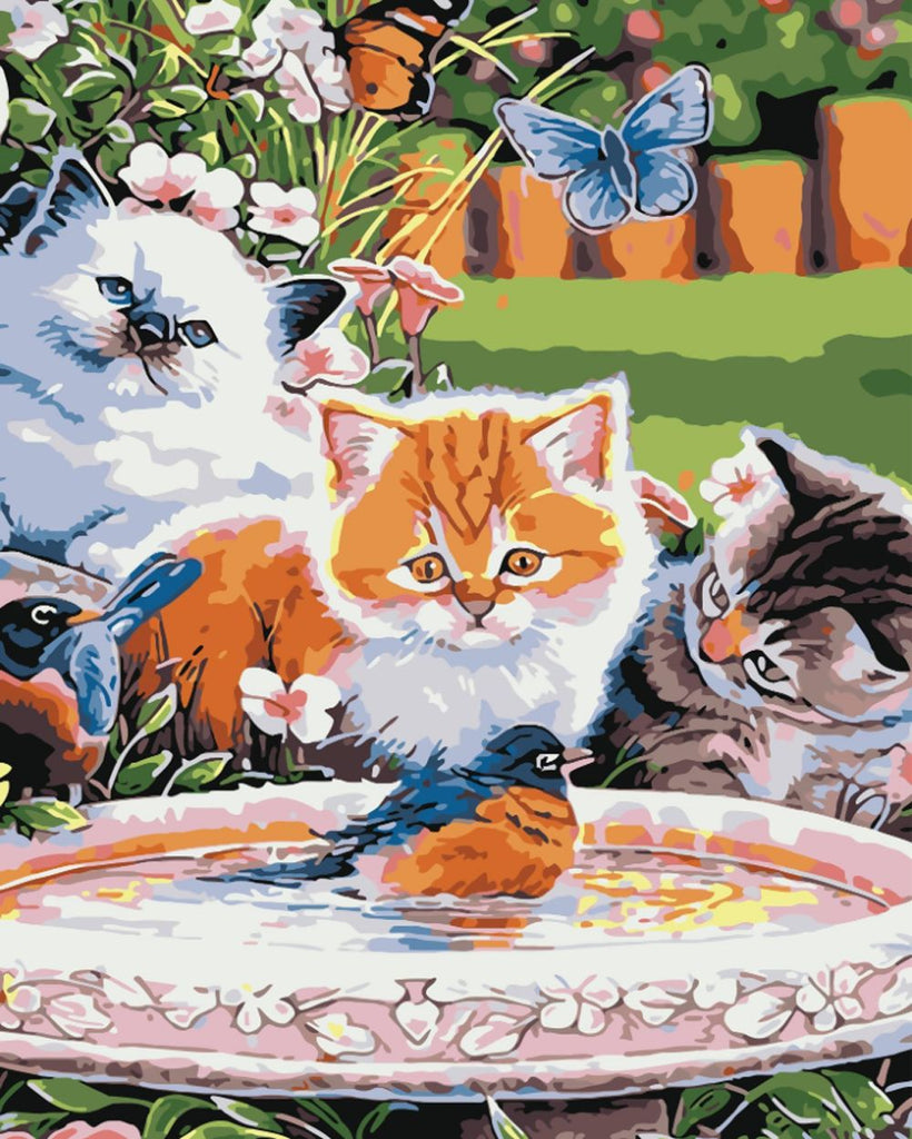 Drie Katten en Vogel in het Water Schilderen op Nummers