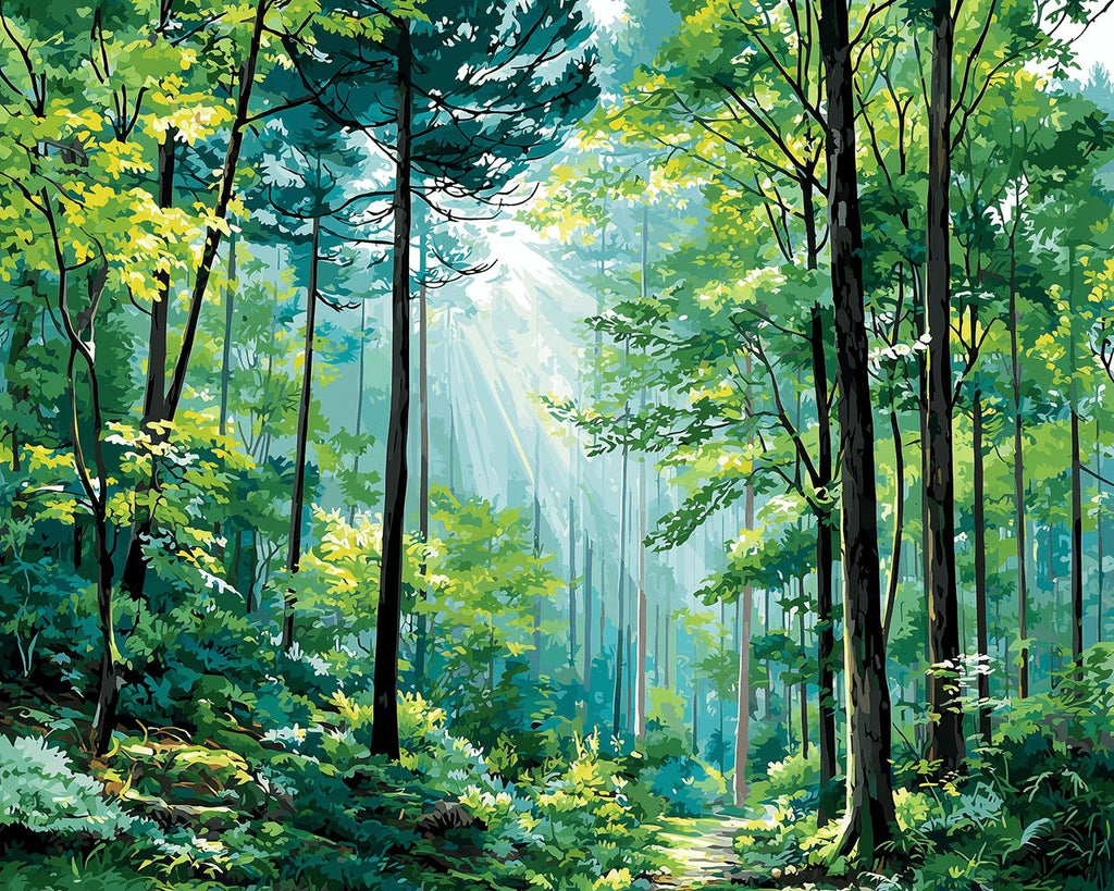 Groen Licht Bos in de Zomer Schilderen op Nummers