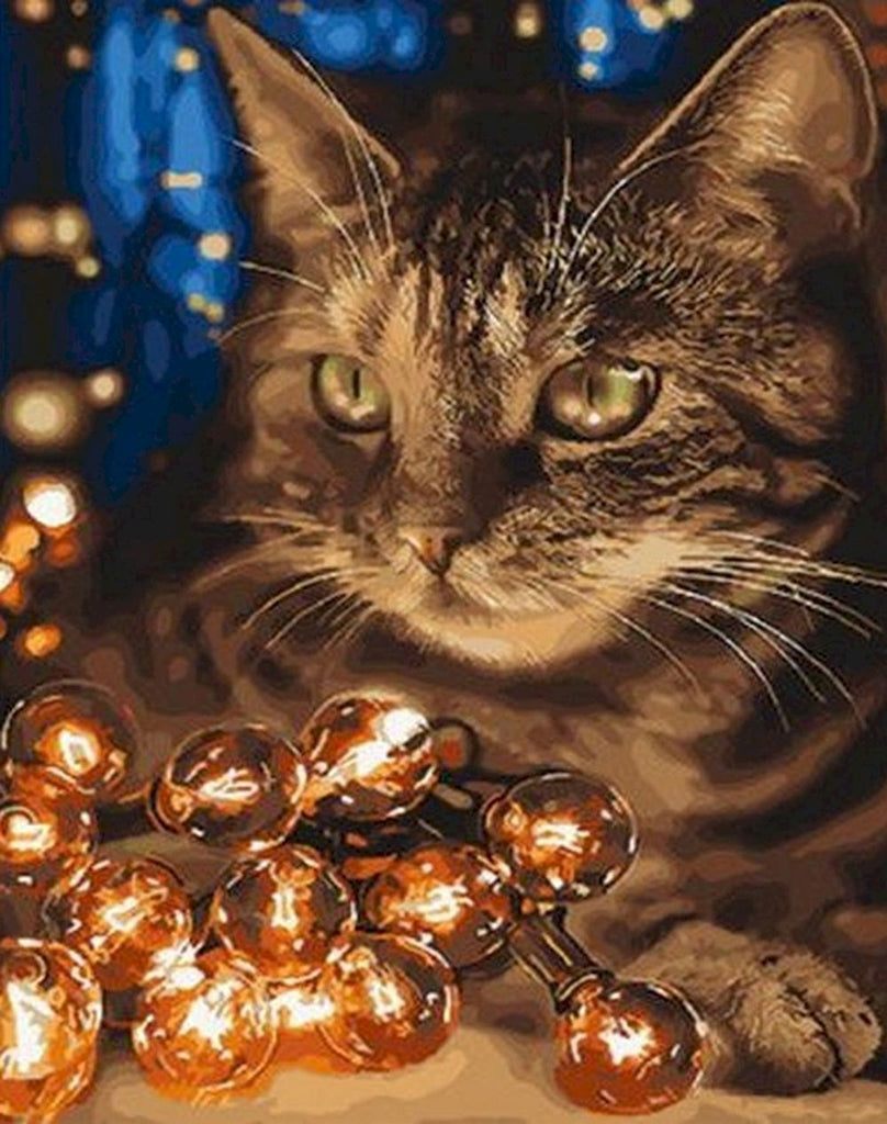 Kat en Gekleurde Lampjes Schilderen op Nummers