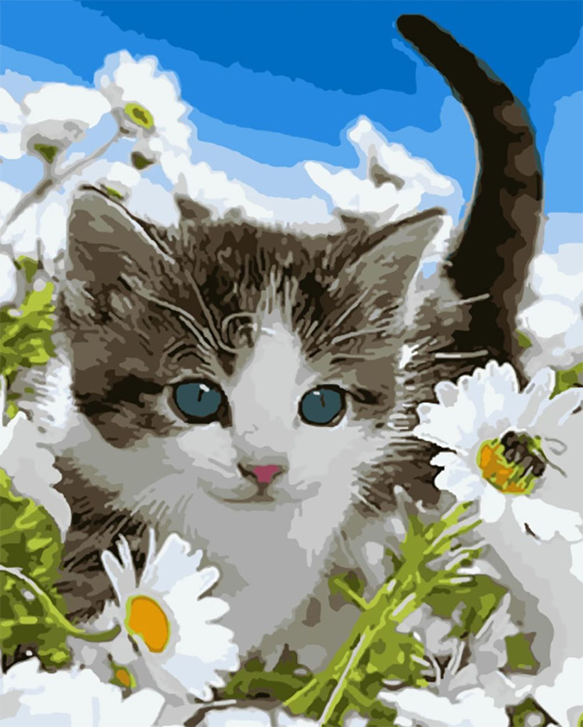 Kat in Margrietstruik Schilderen op Nummers