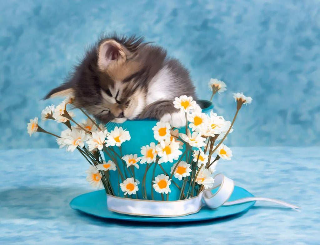 Kat in Theekop en Madeliefjes Schilderen op Nummers