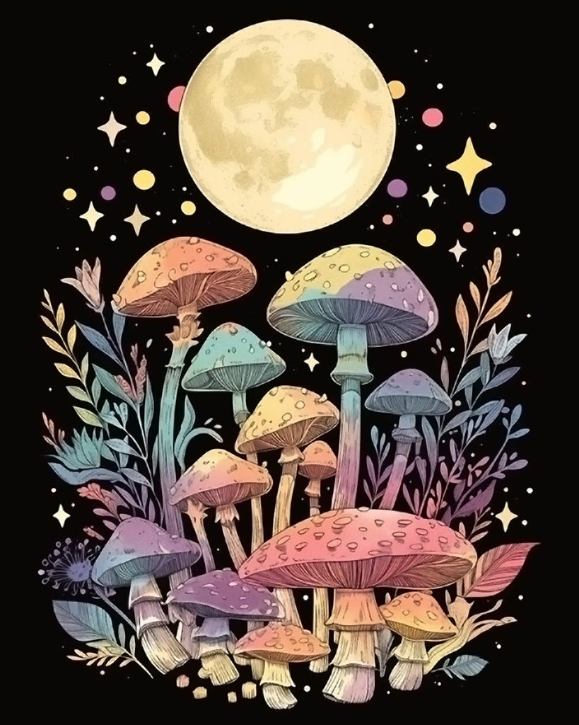 Kleurrijke Paddenstoelen in het Maanlicht Schilderen op Nummers