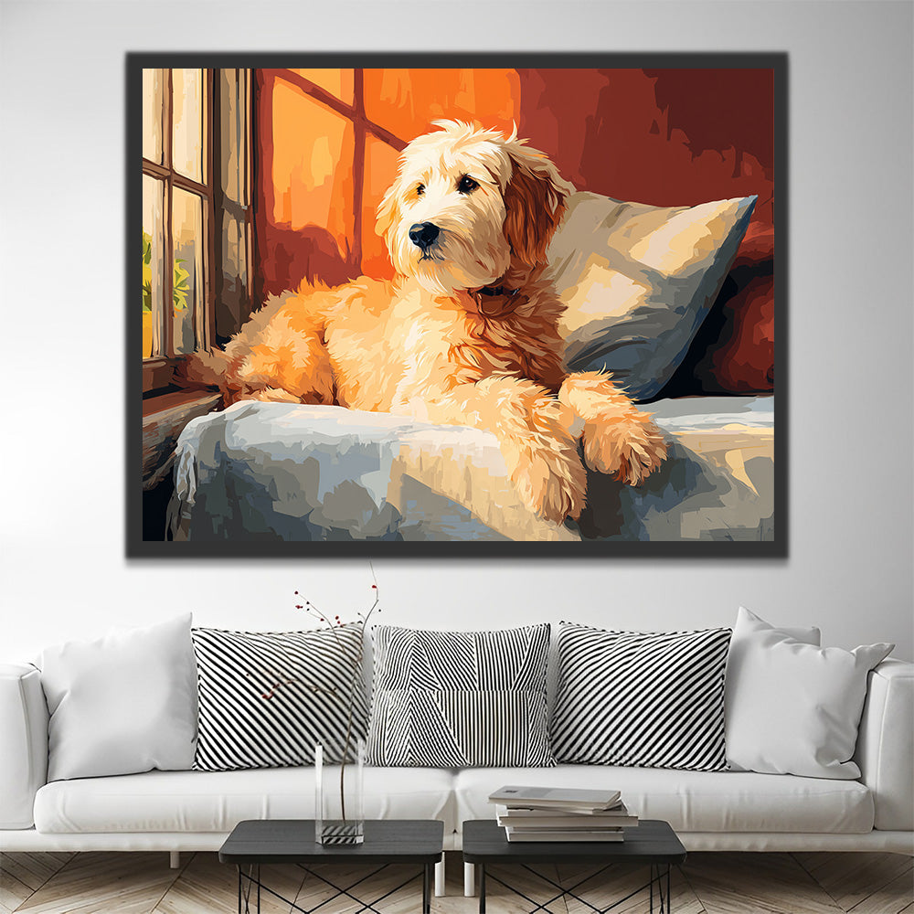 Labradoodle Kijkt uit het Raam Schilderen op Nummers