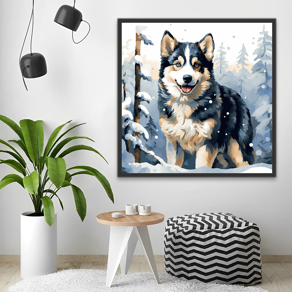 Leuke Wolf in de Sneeuw Schilderen op Nummers