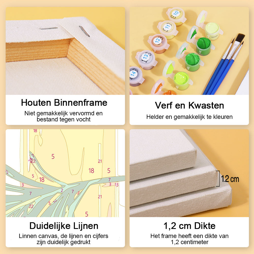 Notenolie 6 Stuks Mini Schilderen op Nummers
