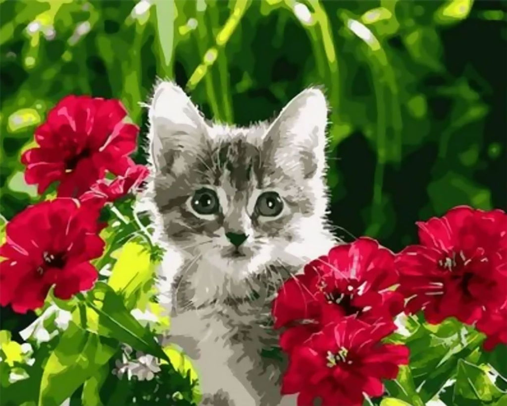 Rode Bloem en Grijze Kat Schilderen op Nummers