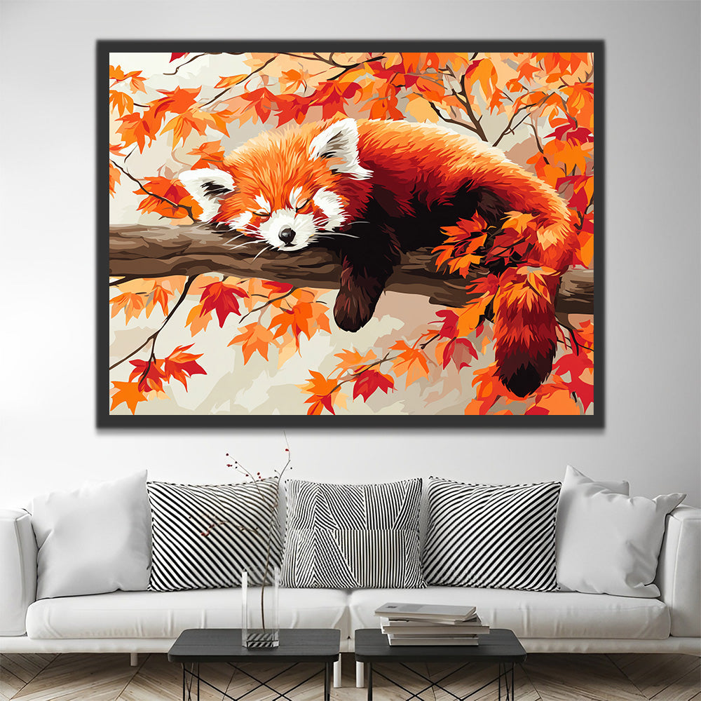Rode panda Slapend in een Rode Esdoornboom Schilderen op Nummers