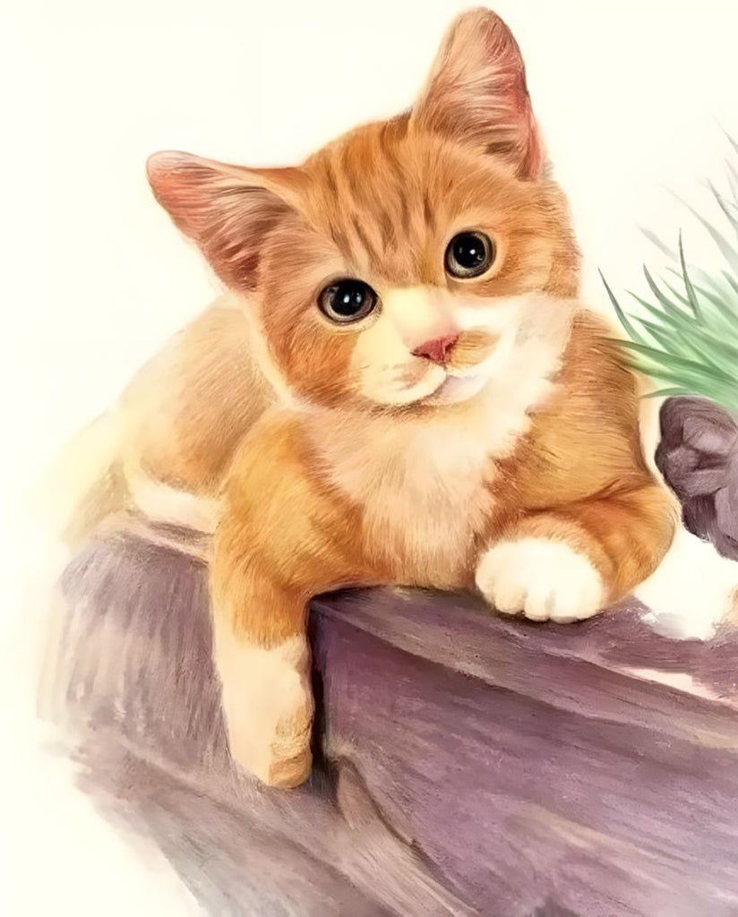 Schattige Oranje Kat Schilderen op Nummers
