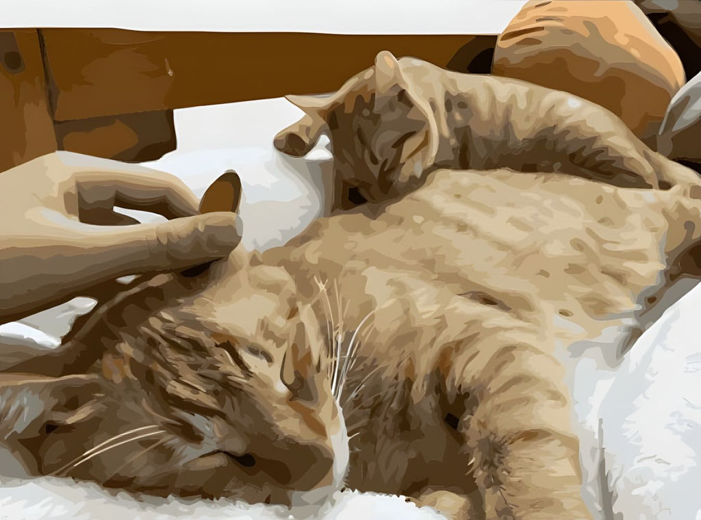 Slapende Katten Schilderen op Nummers