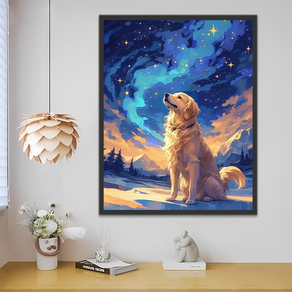 Sterrenkijkende Golden Retriever Schilderen op Nummers