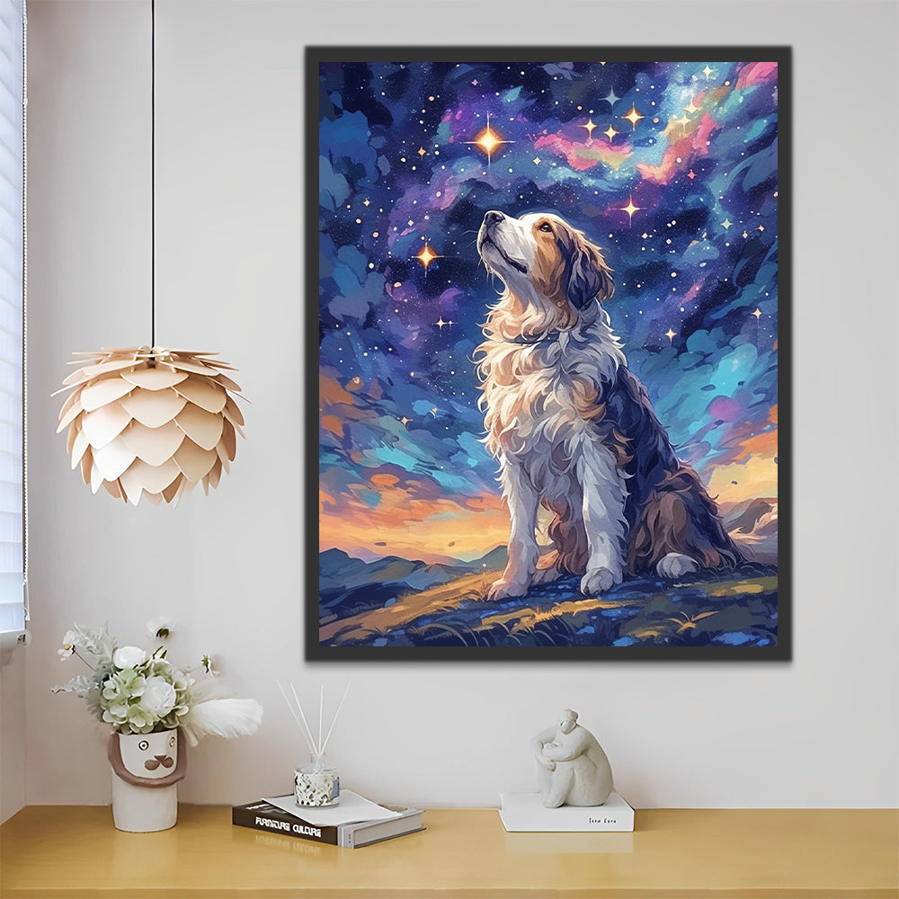 Sterrenkijkende Hond Schilderen op Nummers