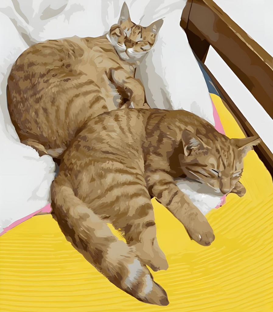 Twee Katten op Bed Schilderen op Nummers