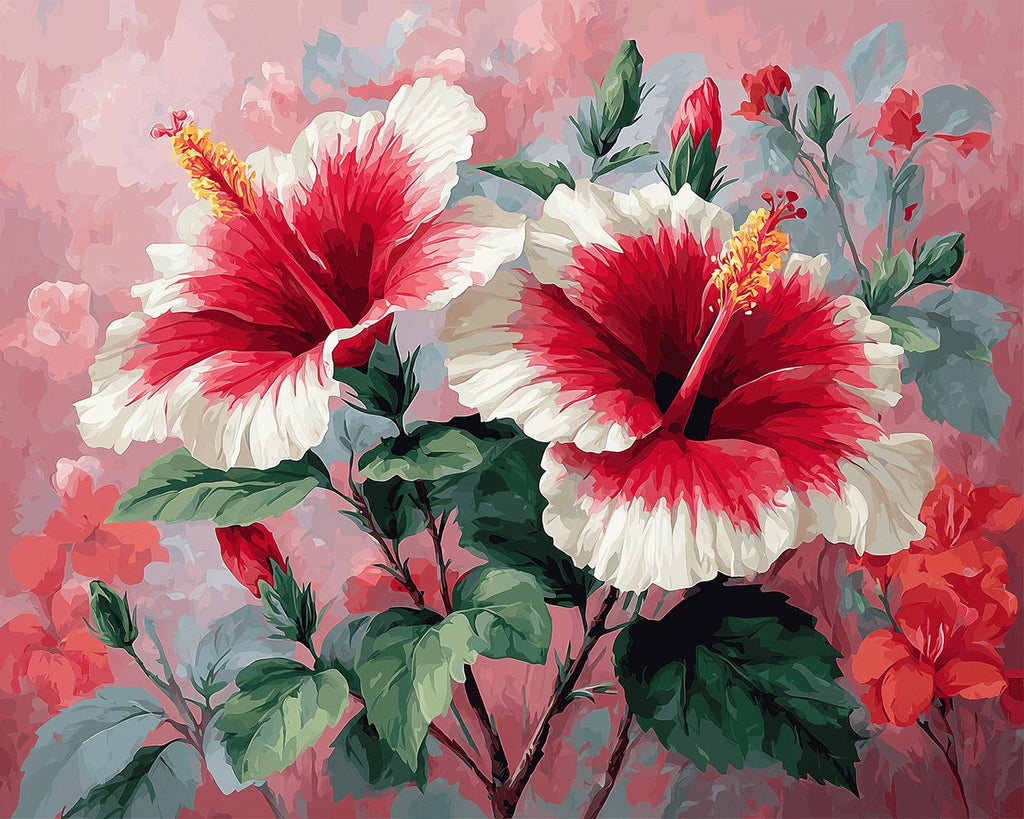Twee Rood-Witte Hibiscusbloemen Schilderen op Nummers