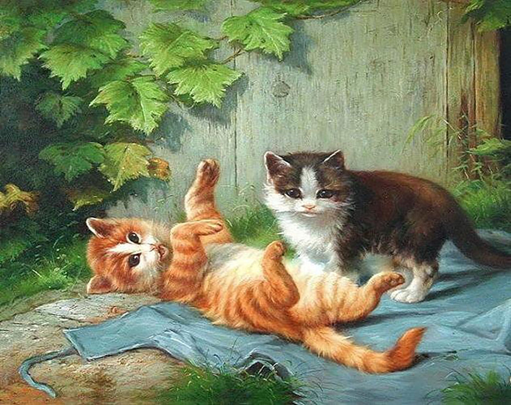 Twee Spelende Katten Schilderen op Nummers