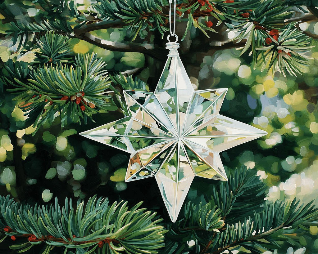 Witte Kristallen Kerst Magische Ster Schilderen op Nummers