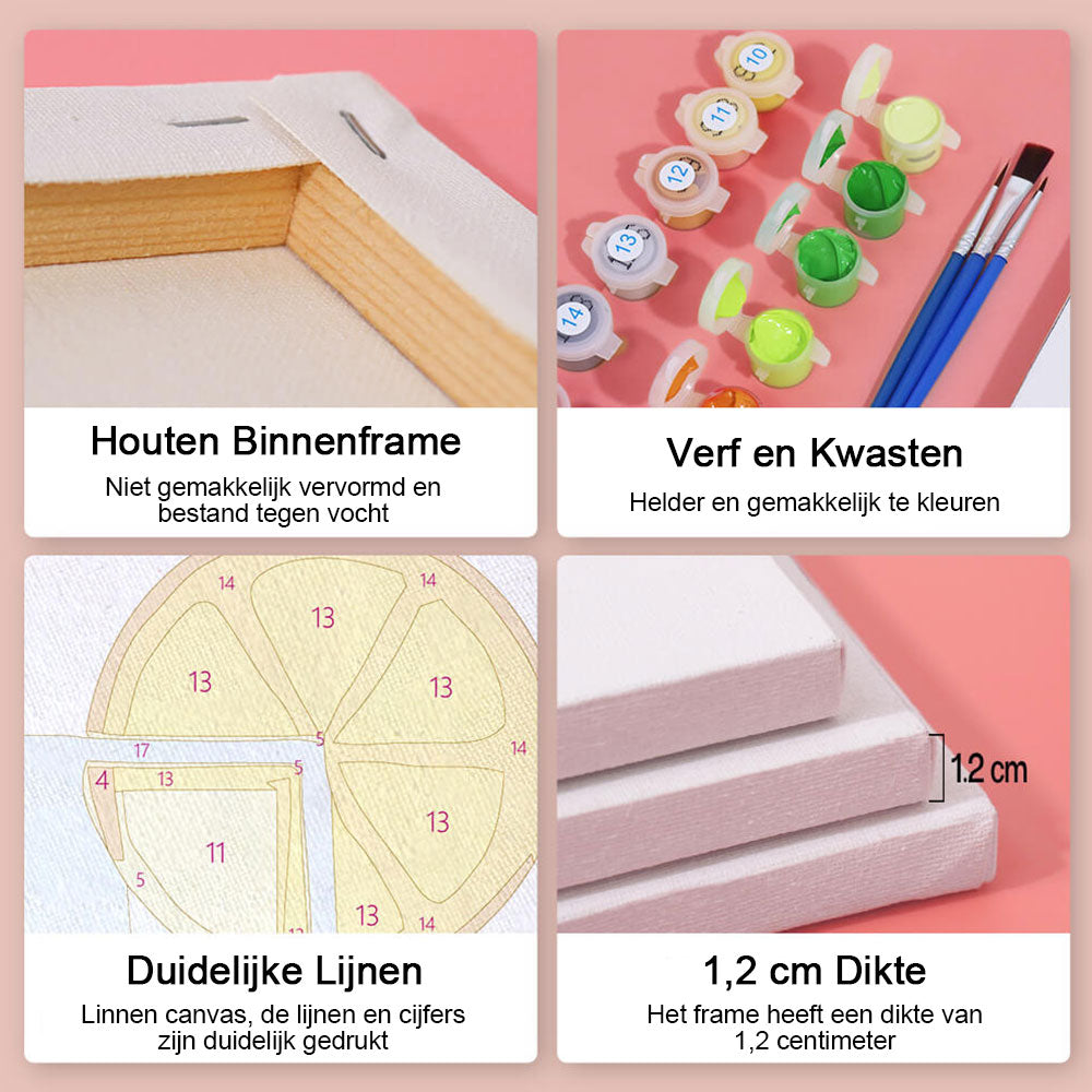 Zomercocktail 6 Stuks Mini Schilderen op Nummers