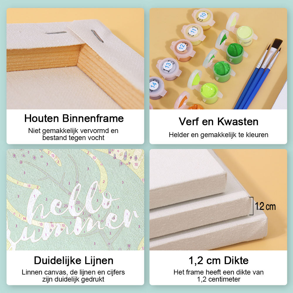 Zomerse Fruitijsjes 6 Stuks Mini Schilderen op Nummers