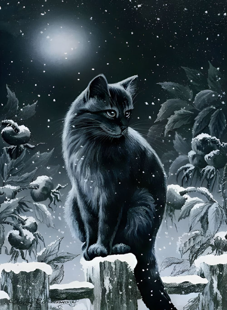 Zwarte Kat in de Sneeuwnacht Schilderen op Nummers