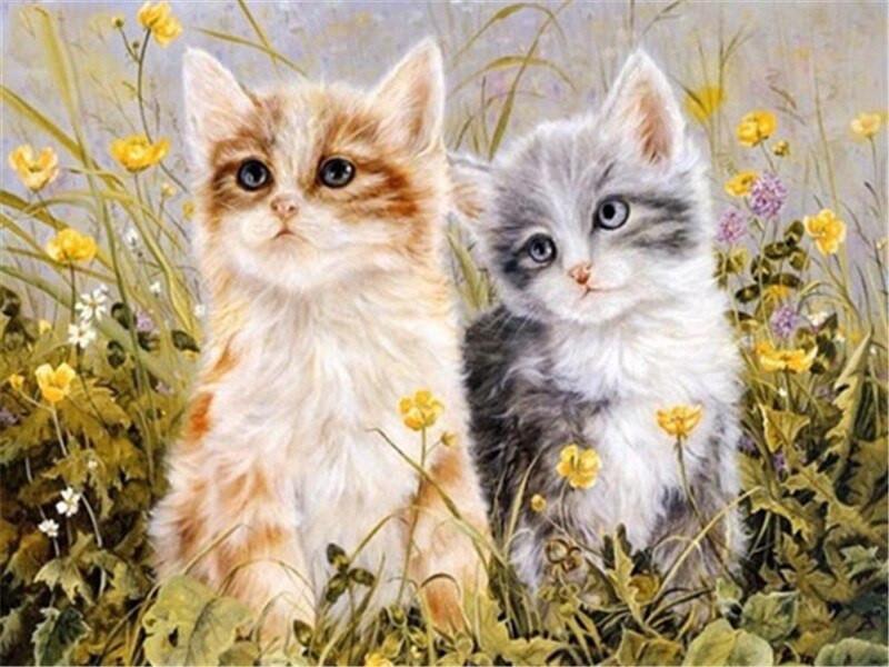 Animal Cat Paint By Numbers Canvas Wall Set PBNCATW47