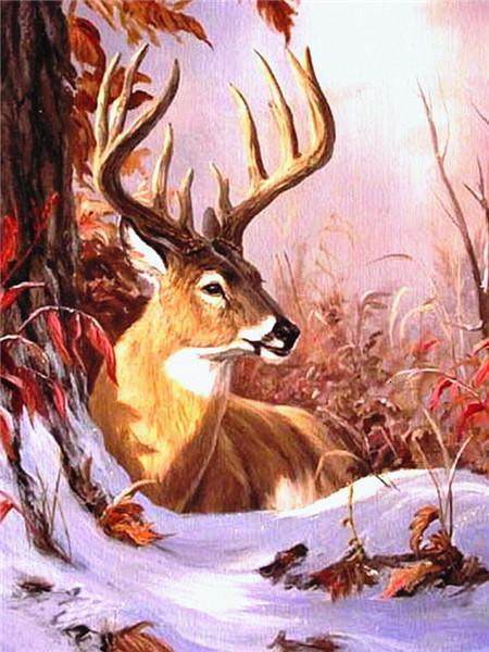 Animal Deer Paint By Numbers Canvas Wall Set PBNDEERL5