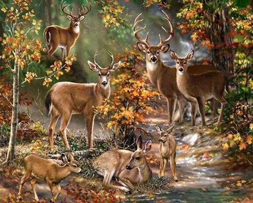 Animal Deer Paint By Numbers Canvas Wall Set PBNDEERW18