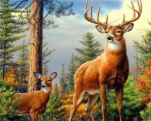 Animal Deer Paint By Numbers Canvas Wall Set PBNDEERW20