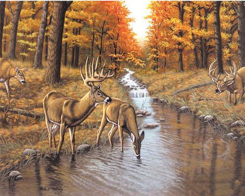 Animal Deer Paint By Numbers Canvas Wall Set PBNDEERW8
