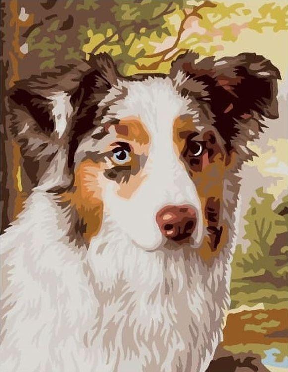 Animal Dog Paint By Numbers Canvas Wall Set PBNDOGL39