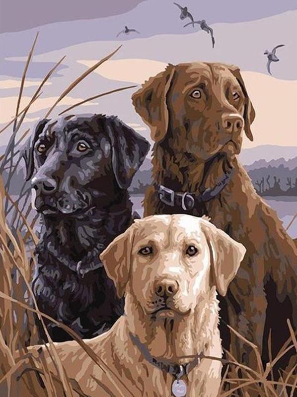 Animal Dog Paint By Numbers Canvas Wall Set PBNDOGL42