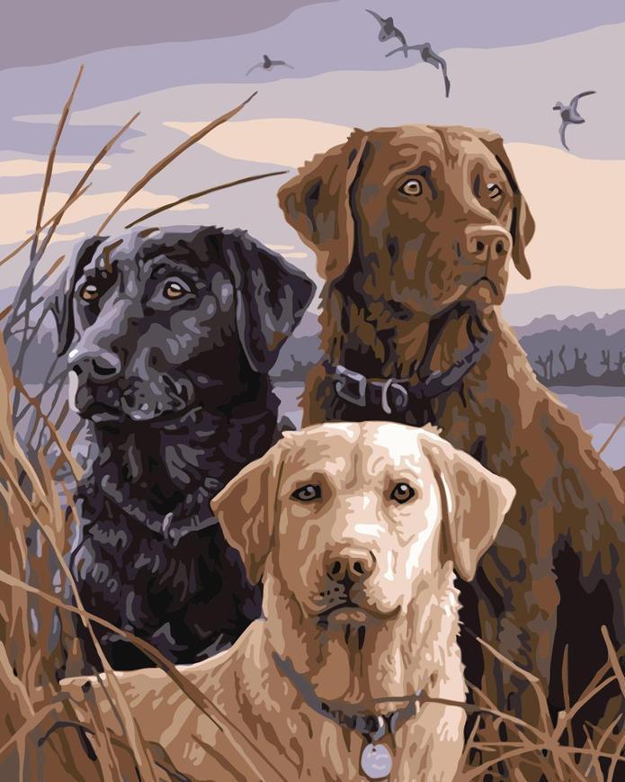 Animal Dog Paint By Numbers Canvas Wall Set PBNDOGN51