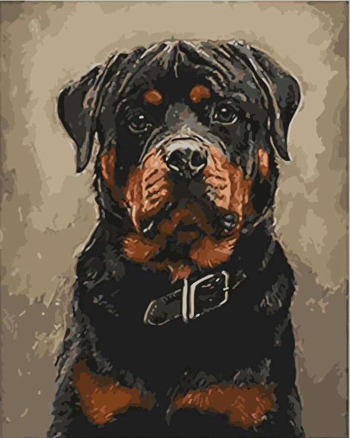 Animal Dog Paint By Numbers Canvas Wall Set PBNDOGN54